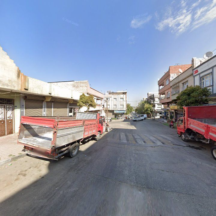 Fotoğraf 9