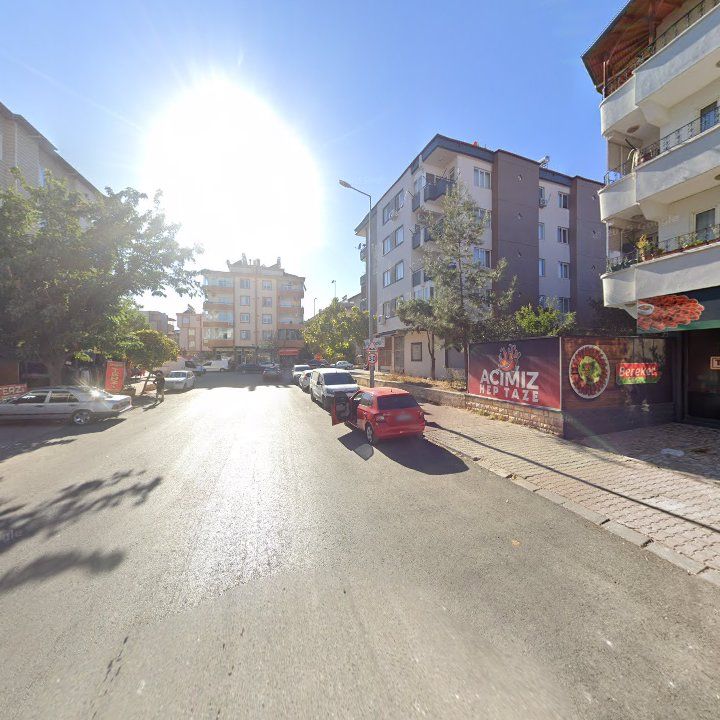 Fotoğraf 9