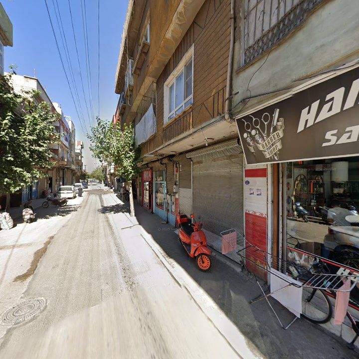 Fotoğraf 11