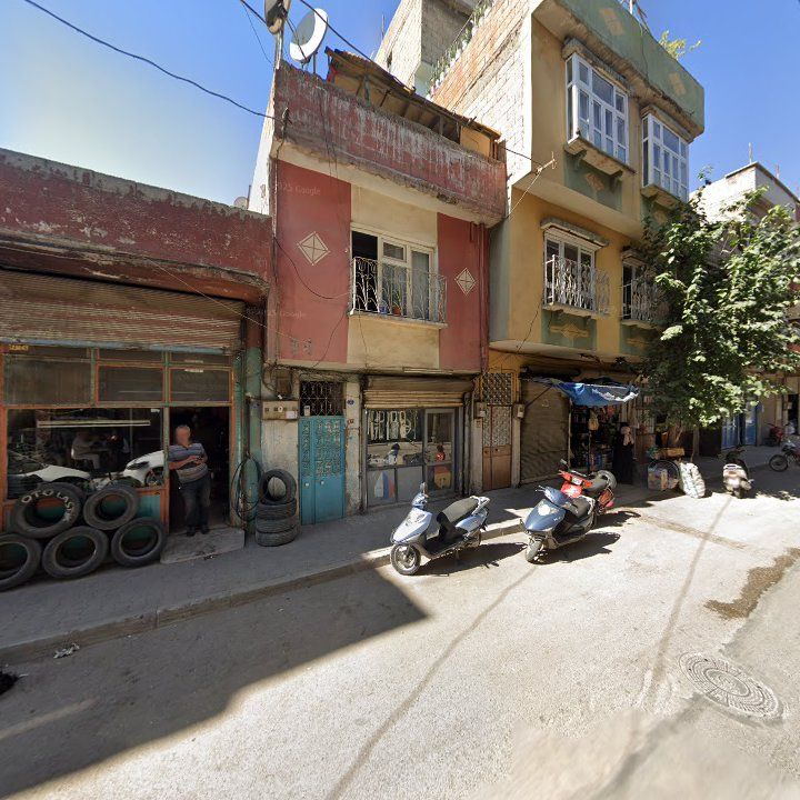 Fotoğraf 10