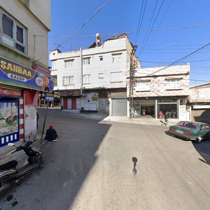 Fotoğraf 11