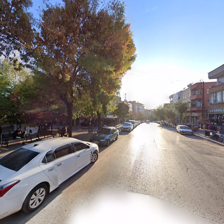 Fotoğraf 8