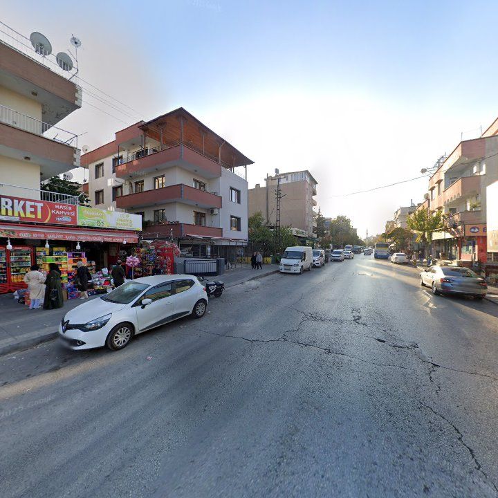 Fotoğraf 10