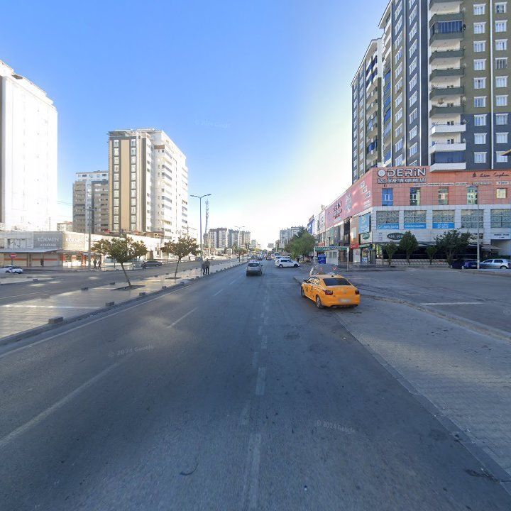 Fotoğraf 10