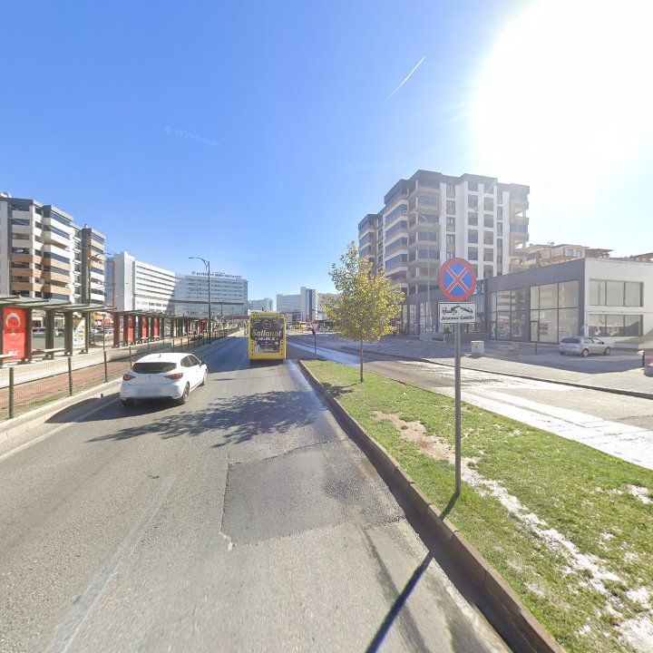 Fotoğraf 9