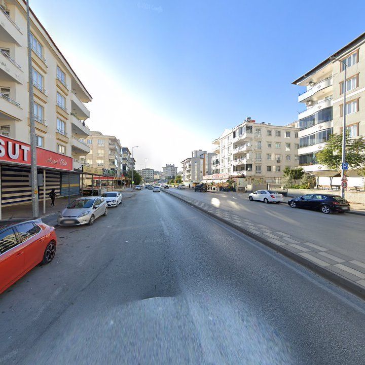 Fotoğraf 11