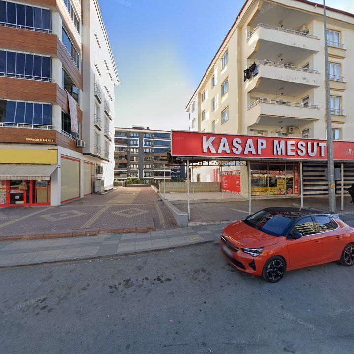 Fotoğraf 10