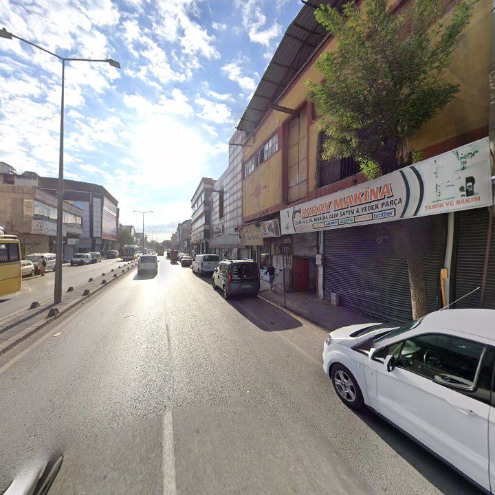 Fotoğraf 11
