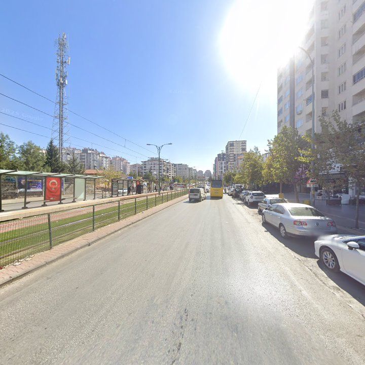 Fotoğraf 12