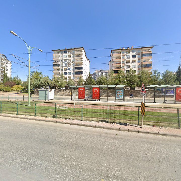 Fotoğraf 11