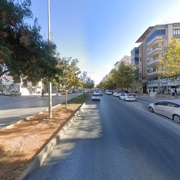 Fotoğraf 5