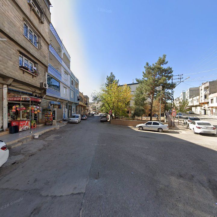 Fotoğraf 6