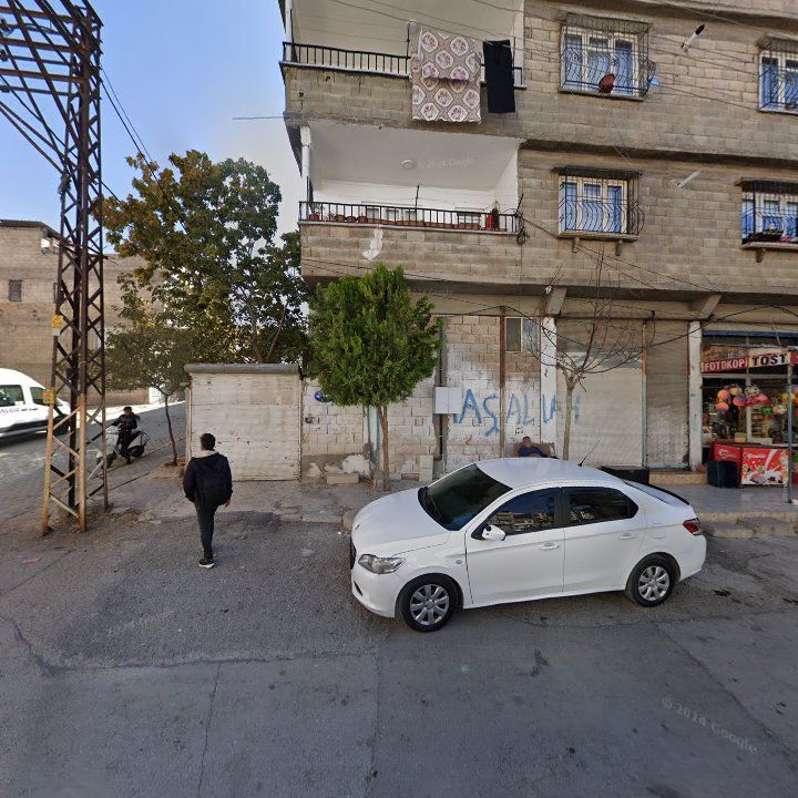 Fotoğraf 5