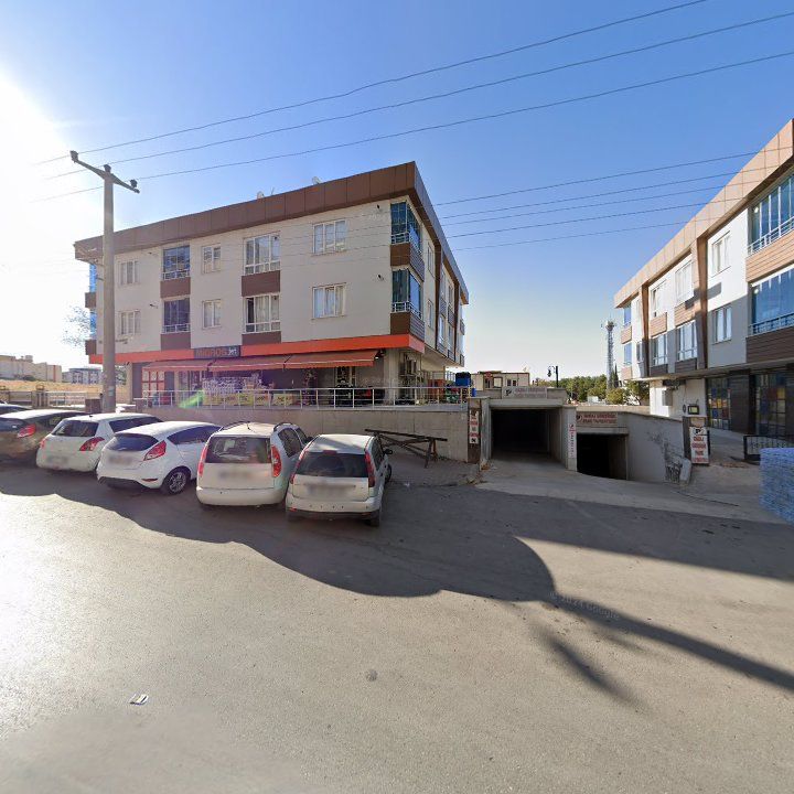 Fotoğraf 8