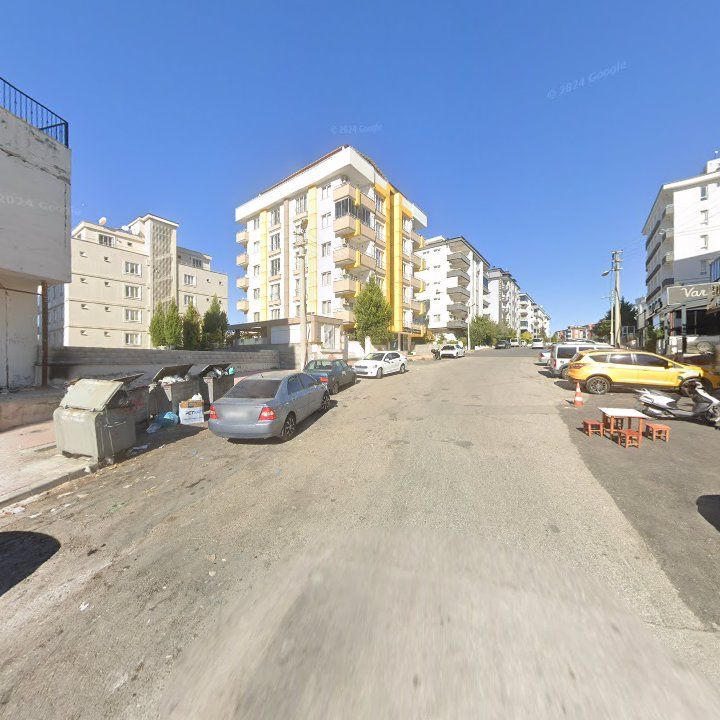 Fotoğraf 10