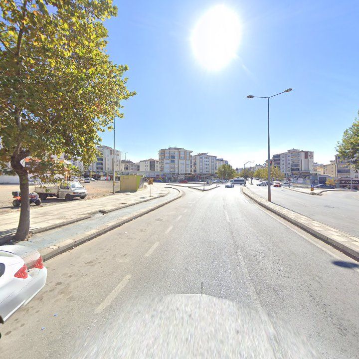 Fotoğraf 7