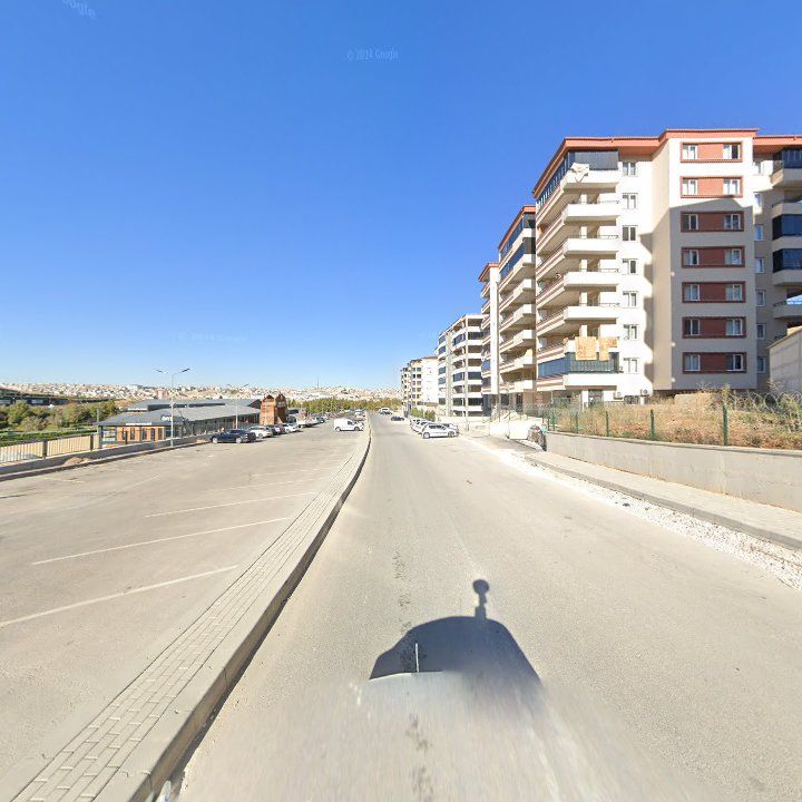 Fotoğraf 8