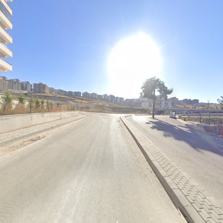 Fotoğraf 10