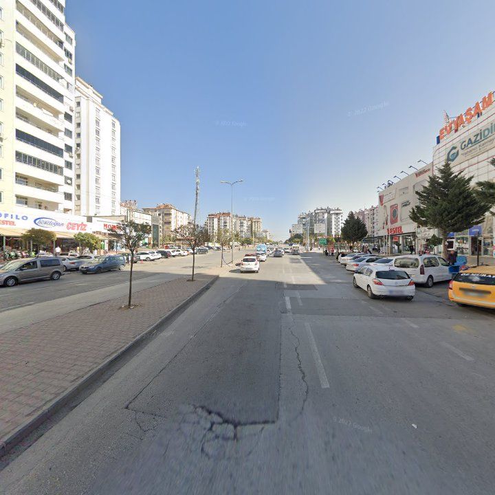 Fotoğraf 8