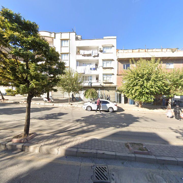 Fotoğraf 3