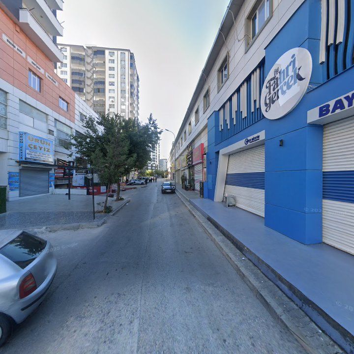 Fotoğraf 7