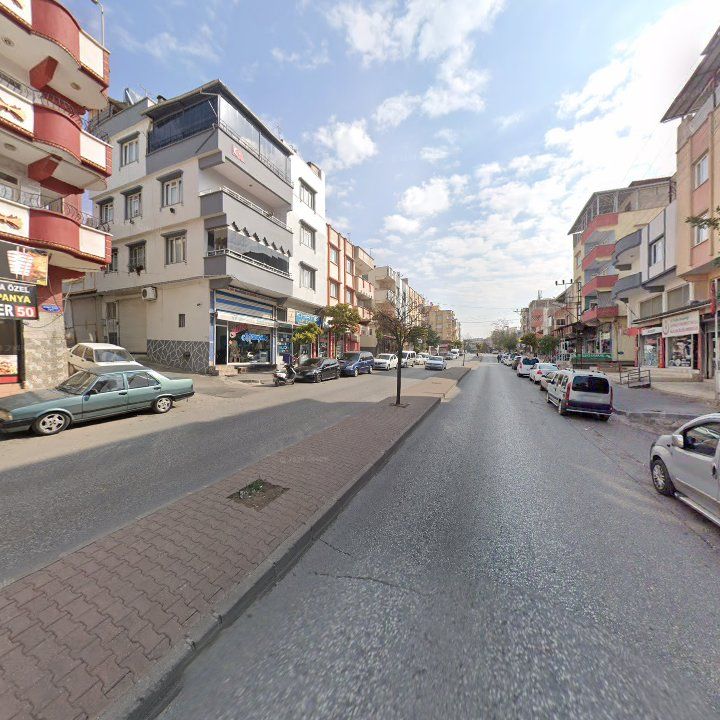 Fotoğraf 3