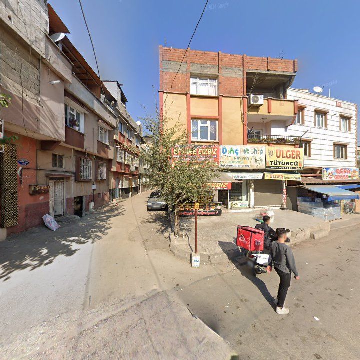 Fotoğraf 6