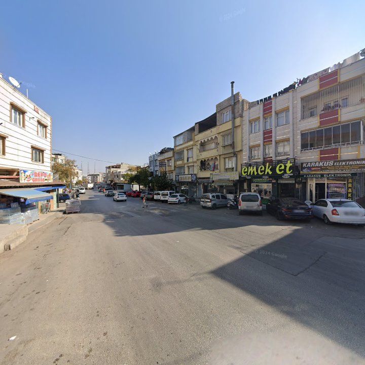 Fotoğraf 7