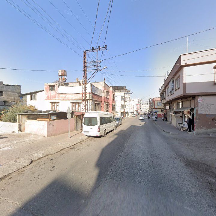 Fotoğraf 10
