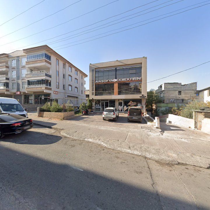 Fotoğraf 9