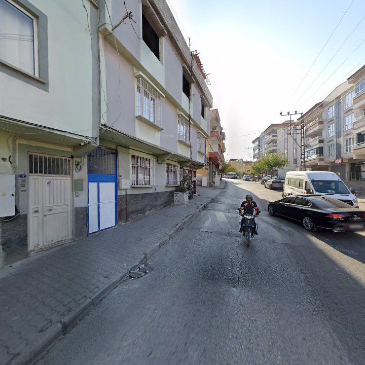 Fotoğraf 12