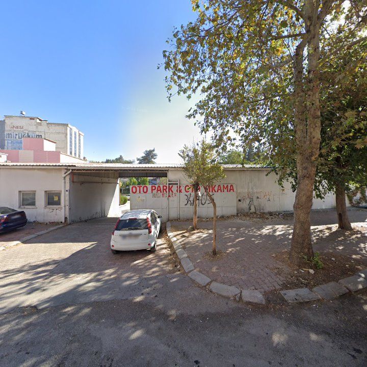 Fotoğraf 6