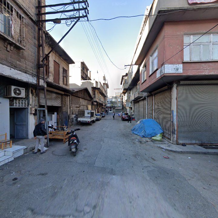 Fotoğraf 8