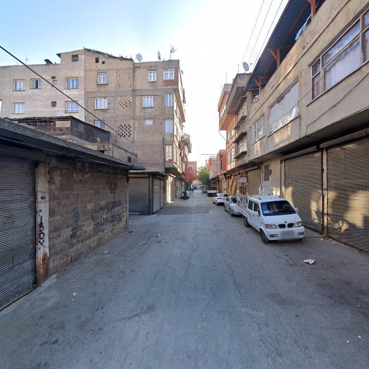Fotoğraf 10