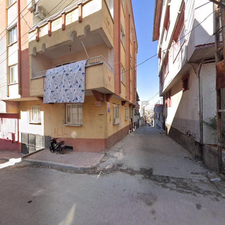 Fotoğraf 7