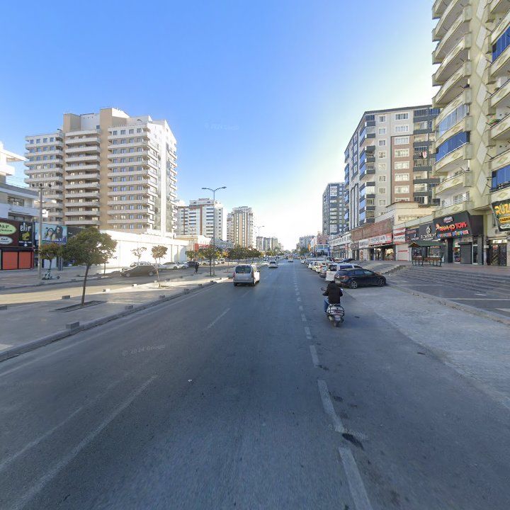Fotoğraf 12