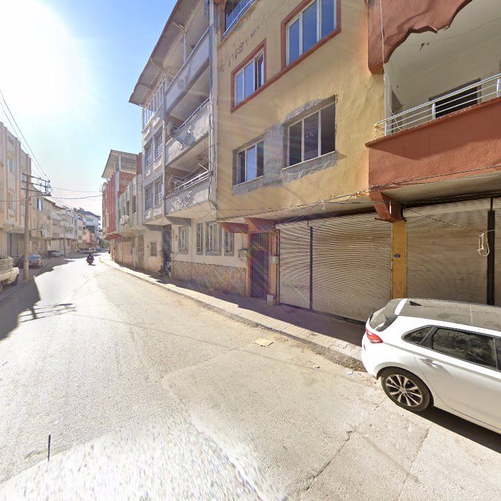 Fotoğraf 9
