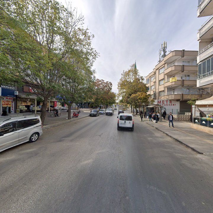 Fotoğraf 9