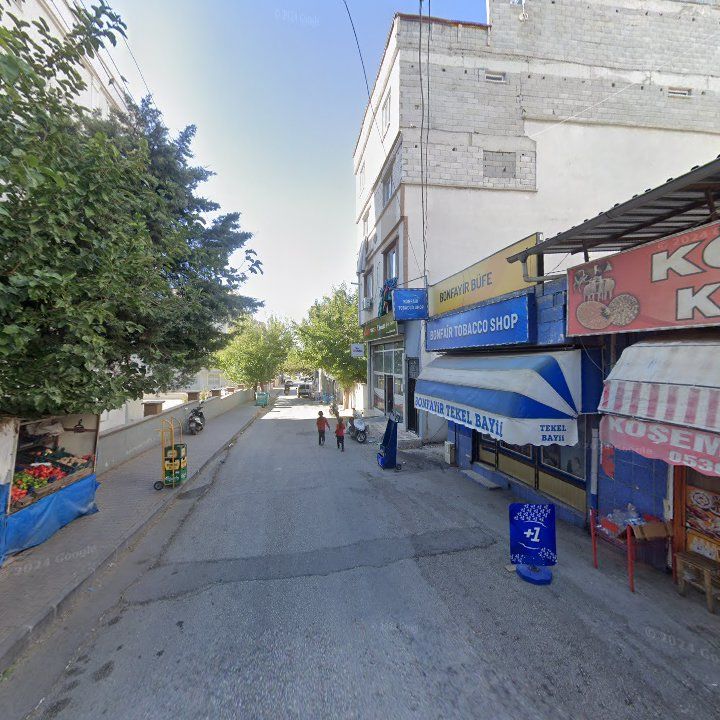 Fotoğraf 6