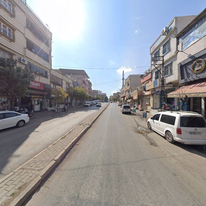 Fotoğraf 8