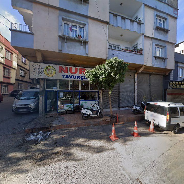 Fotoğraf 11