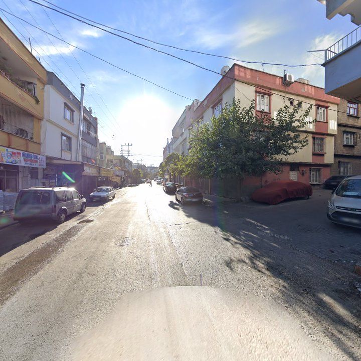 Fotoğraf 10