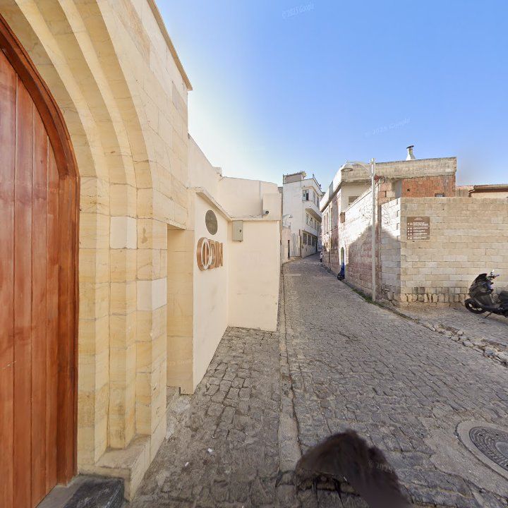 Fotoğraf 11