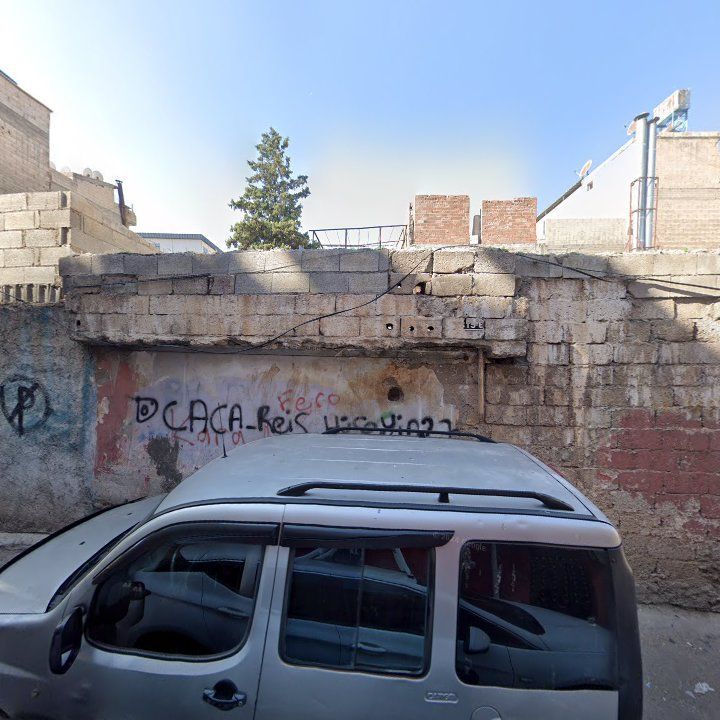 Göçmen Kanat