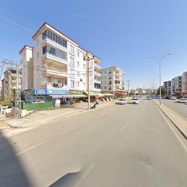 Fotoğraf 9