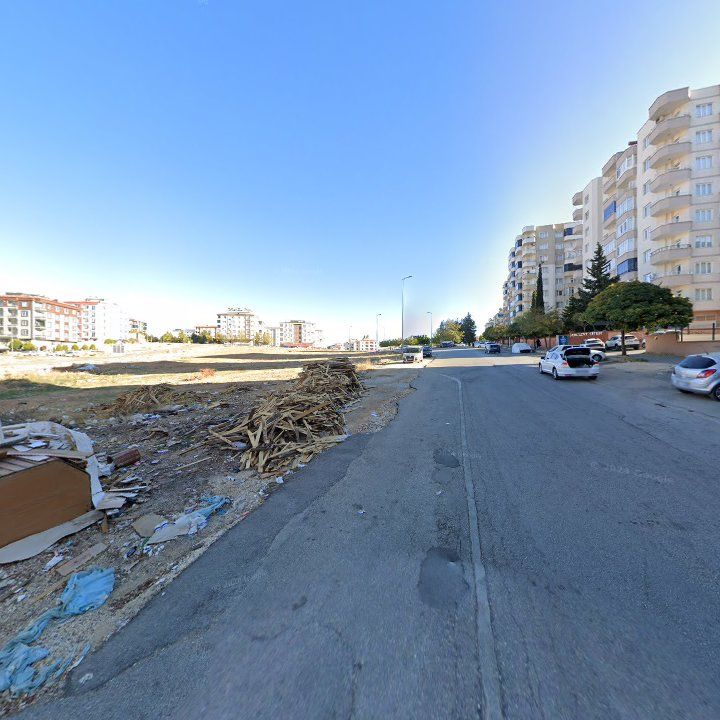 Fotoğraf 8