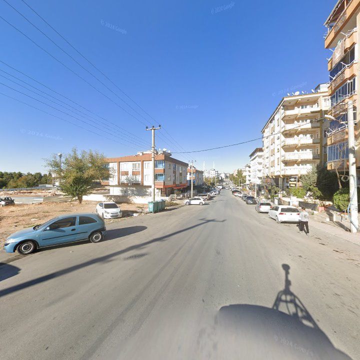 Fotoğraf 9