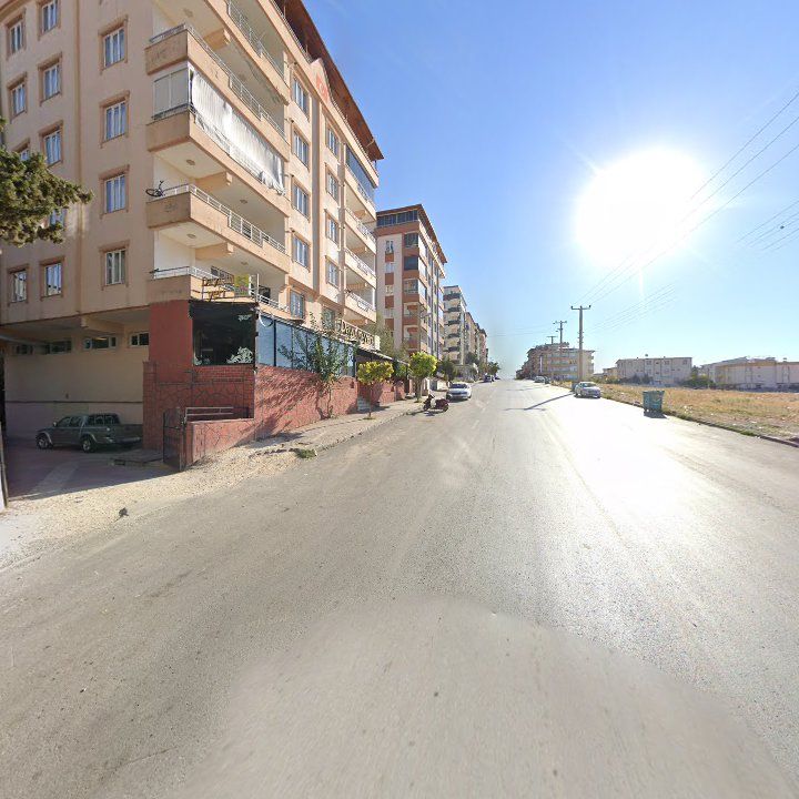 Fotoğraf 7
