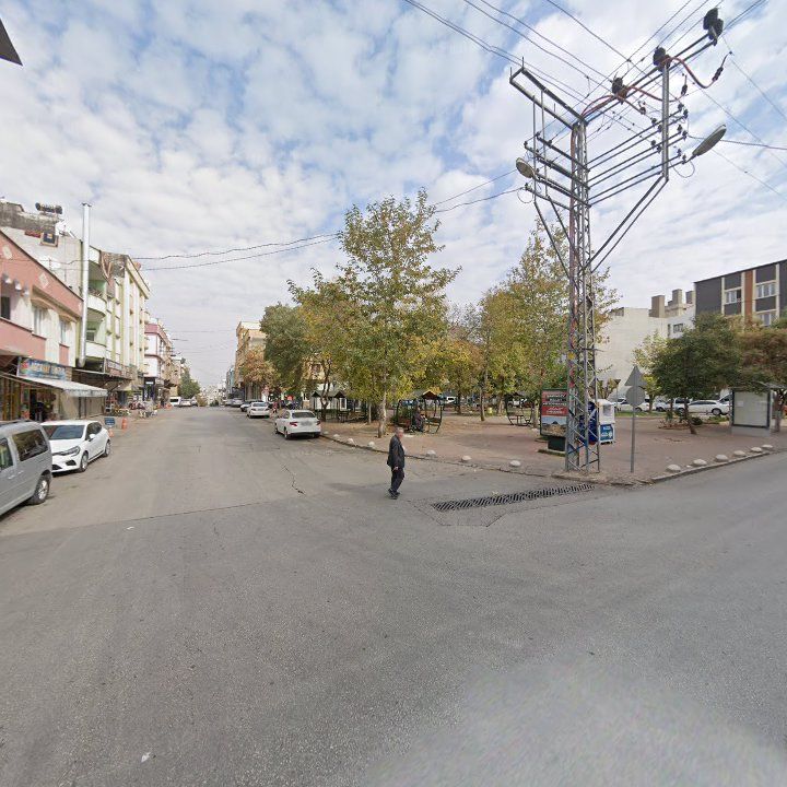 Fotoğraf 8
