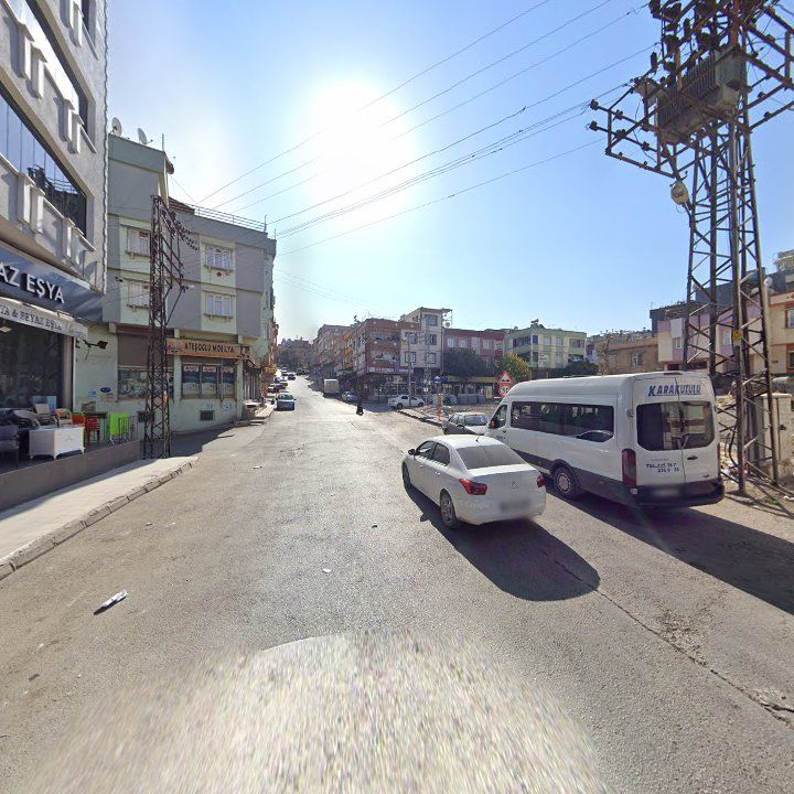 Fotoğraf 8